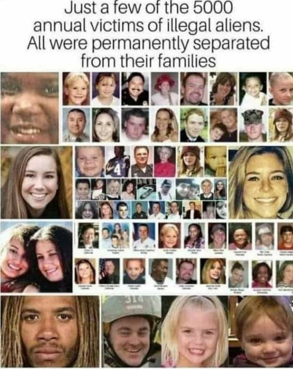 costaldude's tweet image. You are the biggest piece of shit. You have allowed Americans to be murdered by illegals.