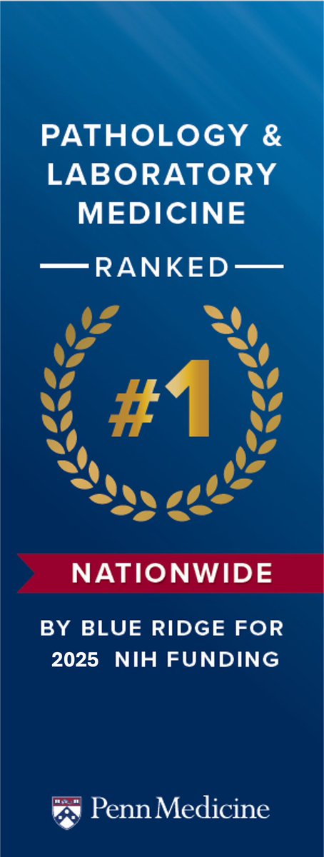 George J. Netto MD tweet media