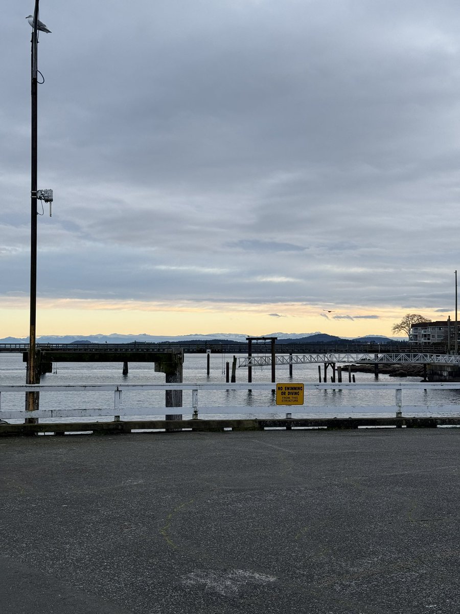 Kat | Yoga & Movement tweet media