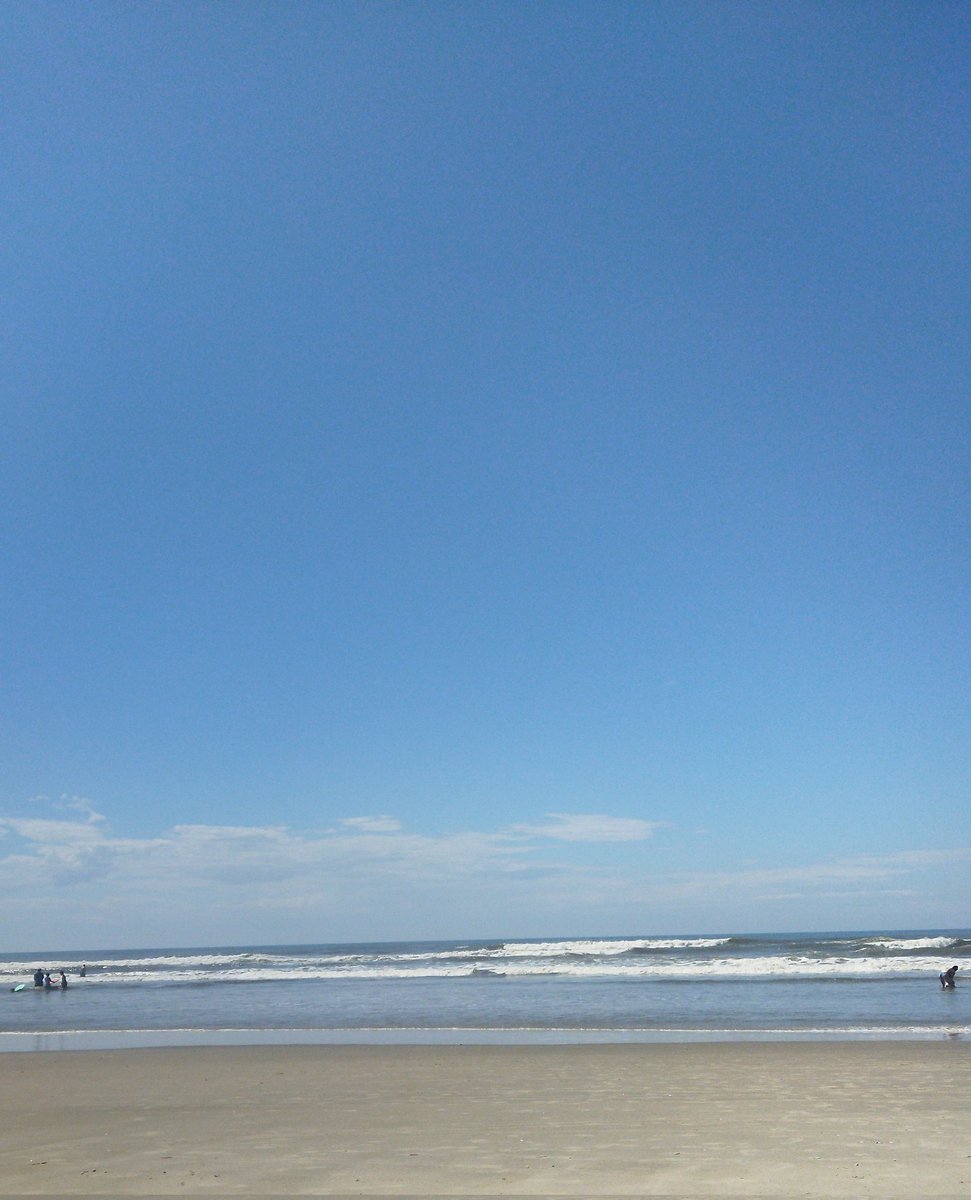 Denise_LC tweet media