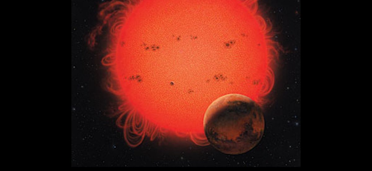 Trump Fact News 🇺🇸 tweet media