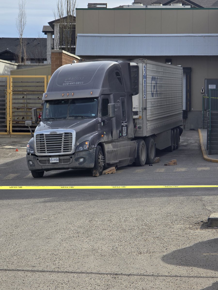 Andrei R Toma 🇷🇴🇨🇦 tweet media