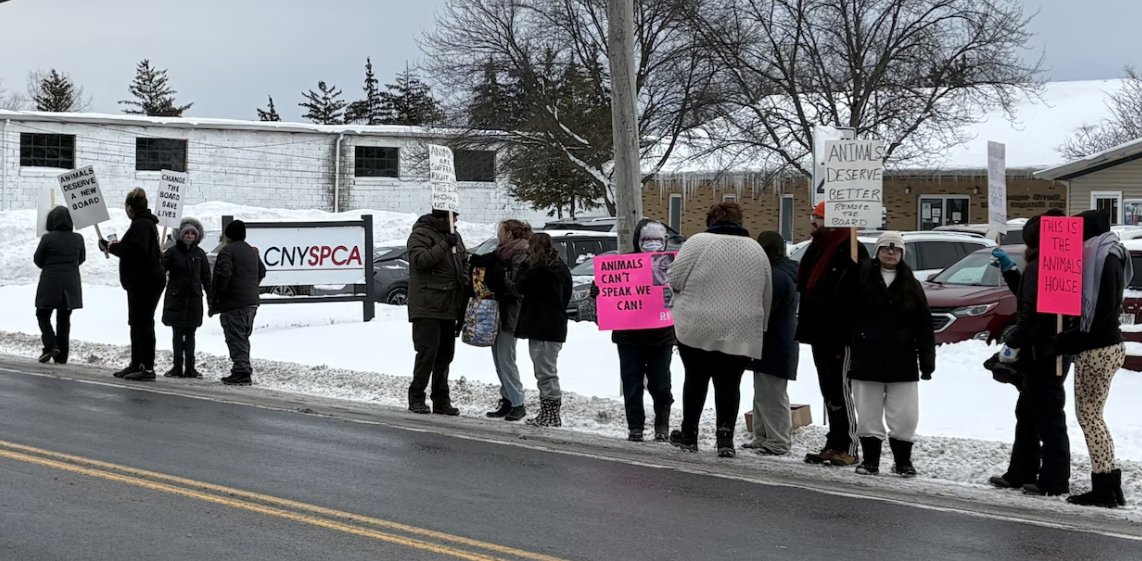 Labor Action Tracker tweet media