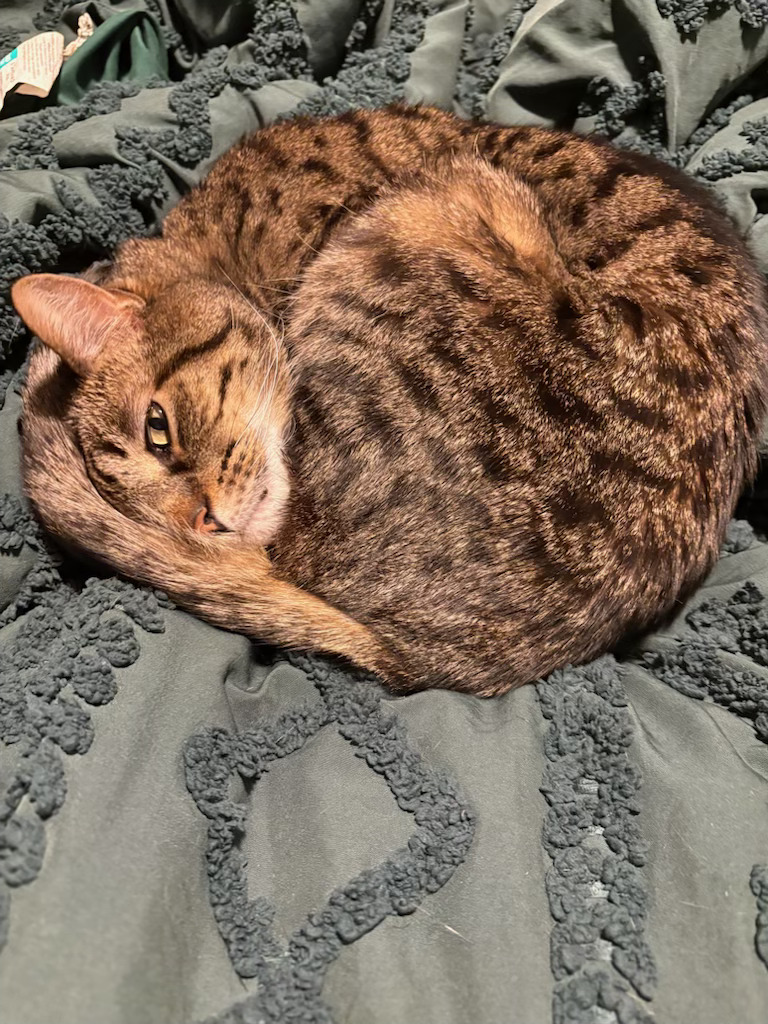 Handsome Jack for your timeline