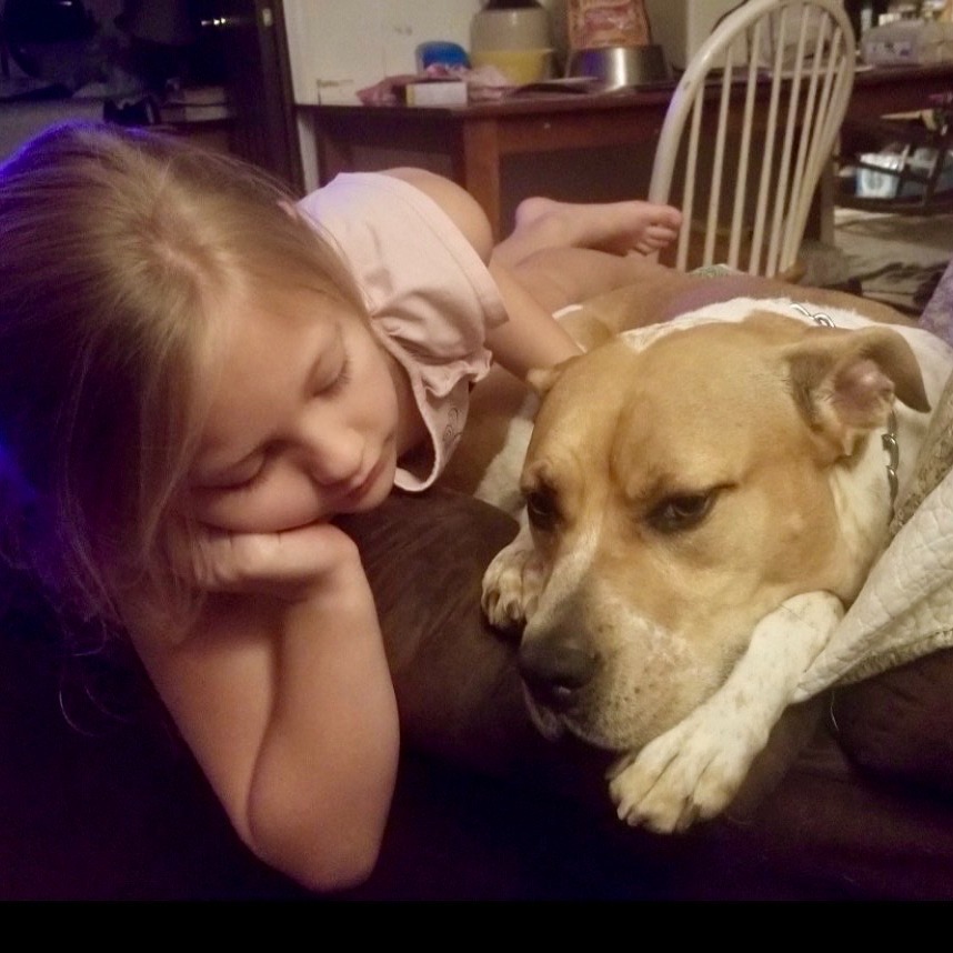 PACT for Animals tweet media