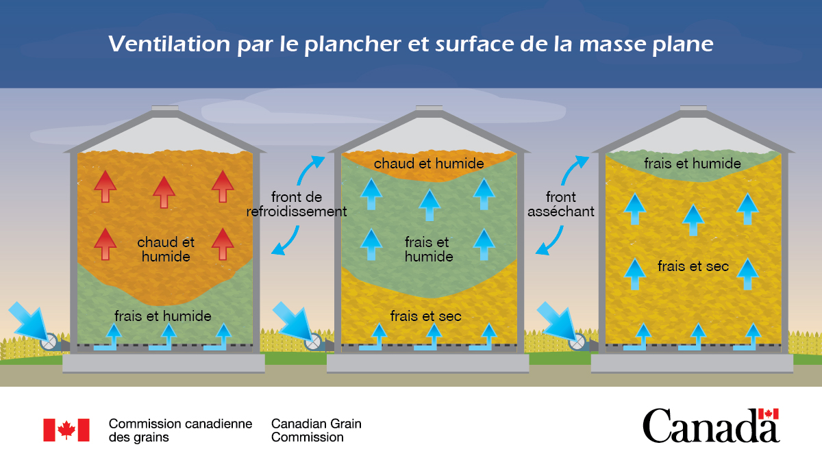 Il est important de surveiller la température du grain et de garder le grain au frais et au sec en l’exposant régulièrement à une ventilation appropriée ou en le remuant fréquemment. Plus d’info : ow.ly/3lZQ50YgFl2