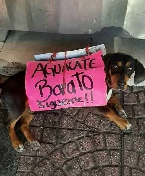 El empleado del mes de la verdulería: