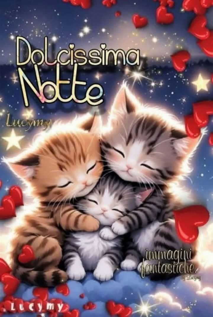 RITABIANCHi56 tweet media