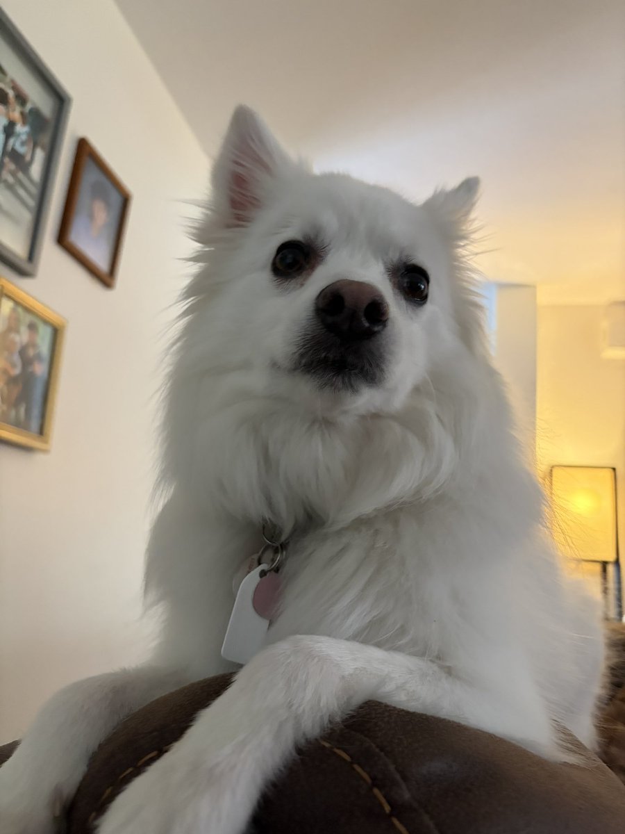 NotNicklas's tweet image. Used to be?