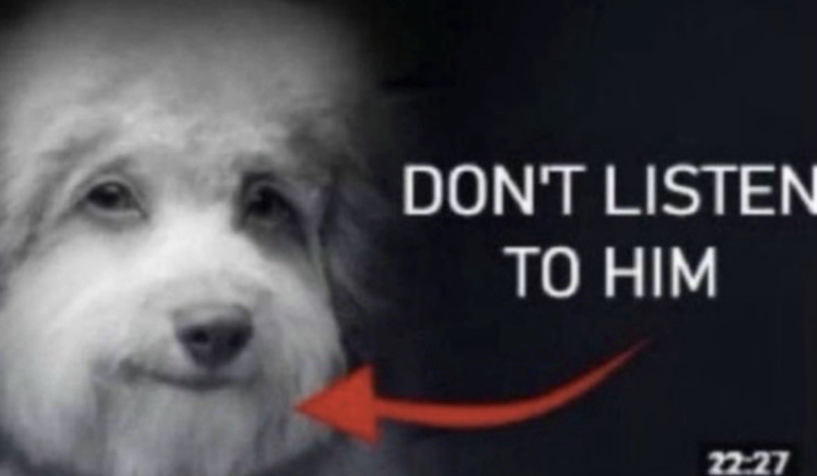 MugiwaraDre👒🐍🚀 tweet media