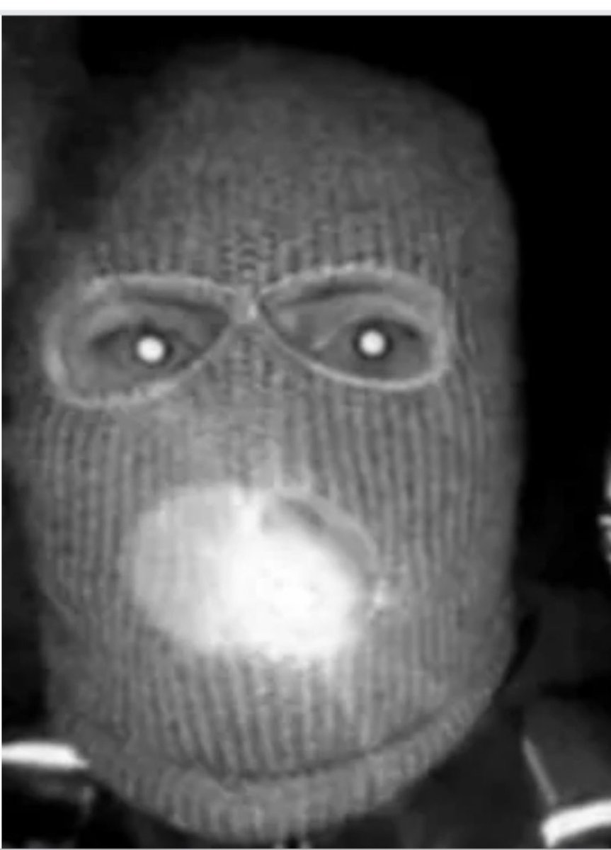 Lover of Animals tweet media