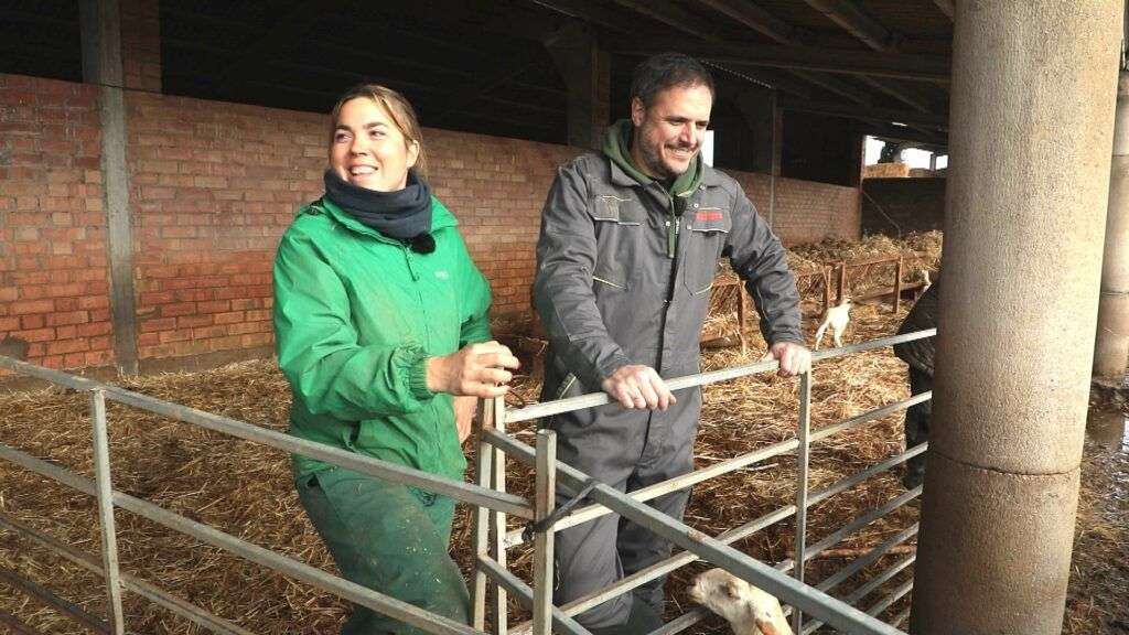 Partido Aragonés tweet media