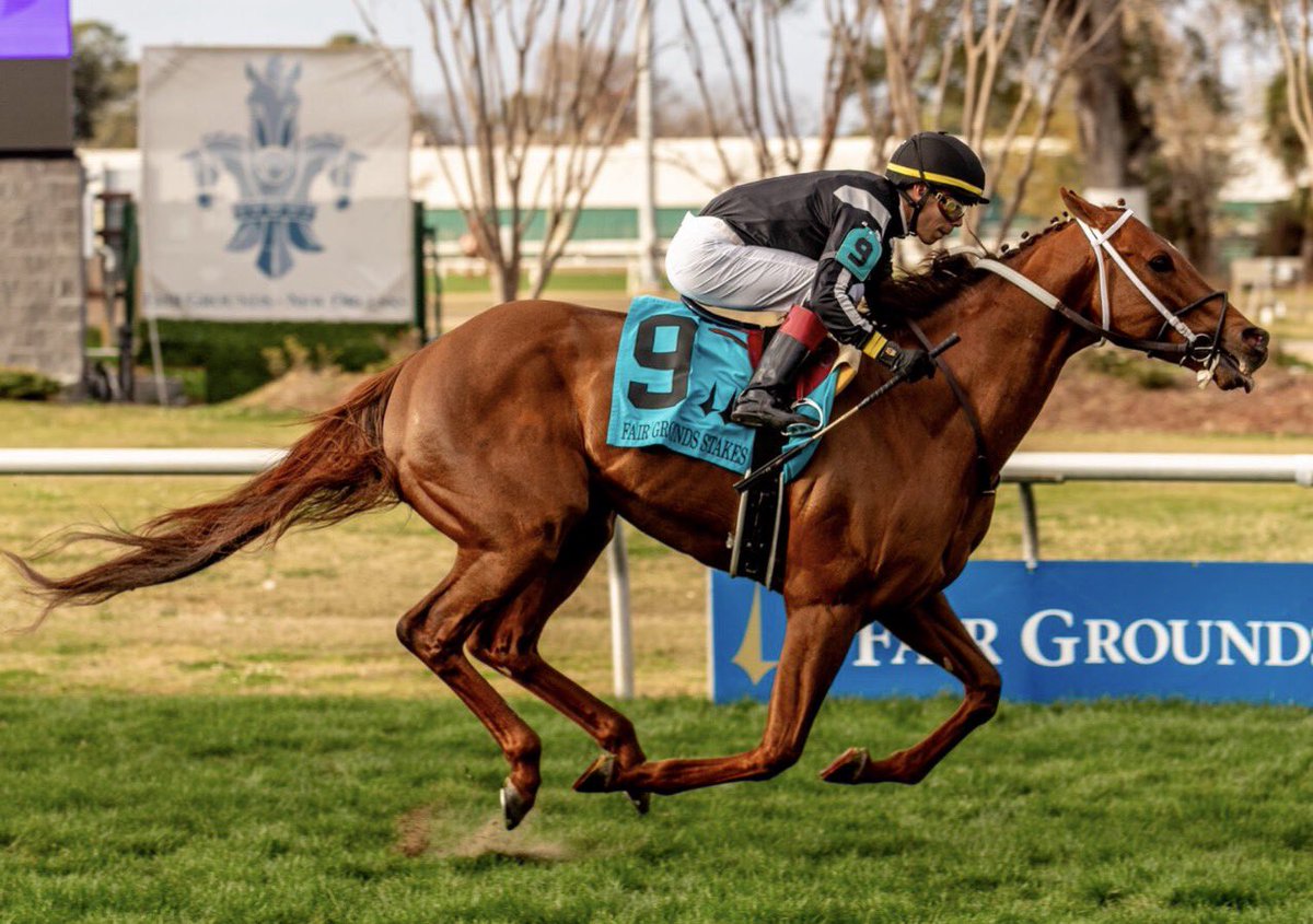 Stakes Winners 🏆 tweet media