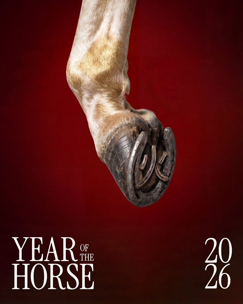 pacificoretiro's tweet photo. Year of the Horse 2026 starts today 🐴  Made this poster with Krea AI. One hoof. Clean composition. Bold symbolism.  AI doesn't replace vision. It executes it faster. ⚡

#YearOfTheHorse2026 https://t.co/rzfhTthcle