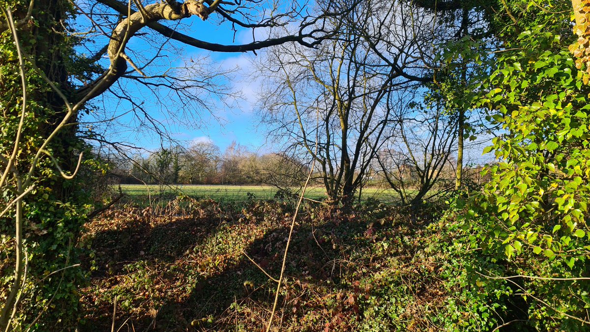 𝗦𝗽𝗹𝗮𝘁𝘁𝘆 tweet media