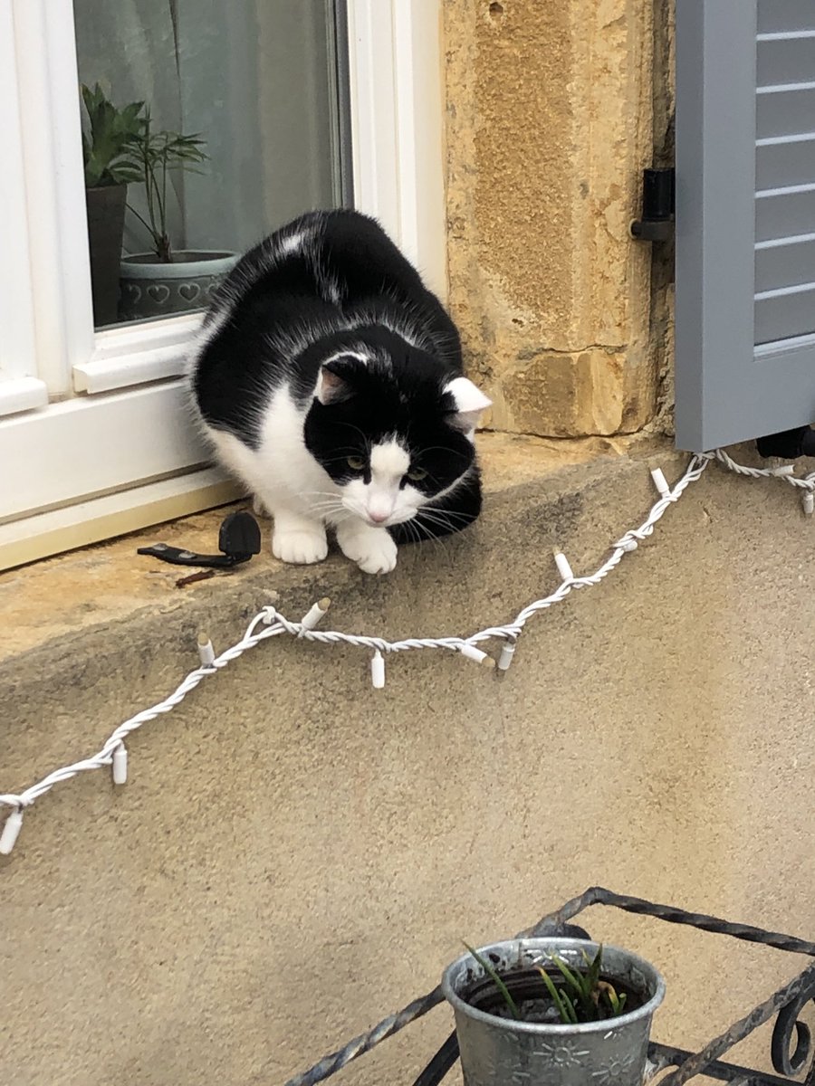 Jacqueline Murphy tweet media