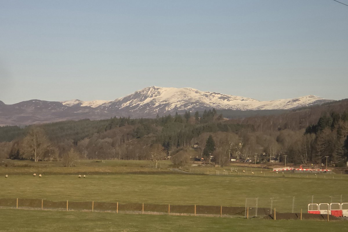 Stuart Cowper tweet media