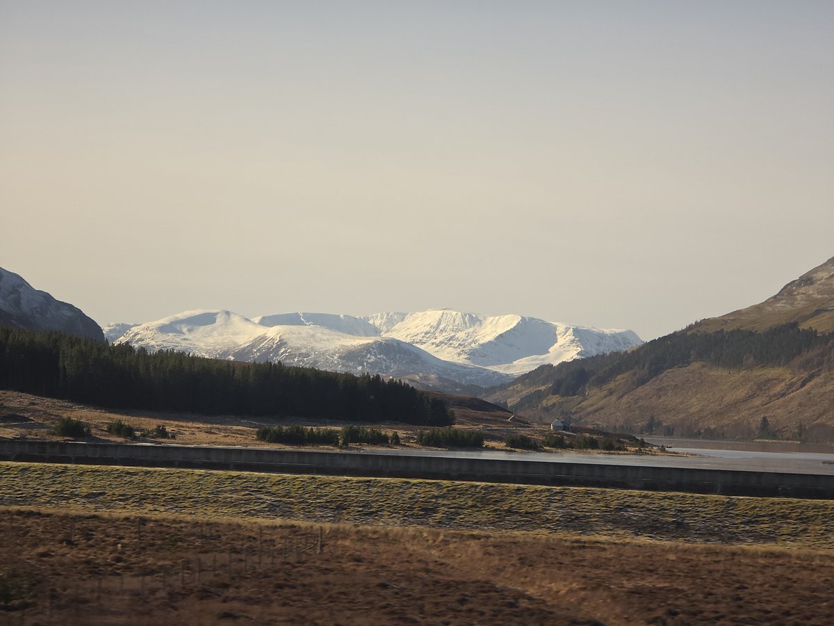 Stuart Cowper tweet media