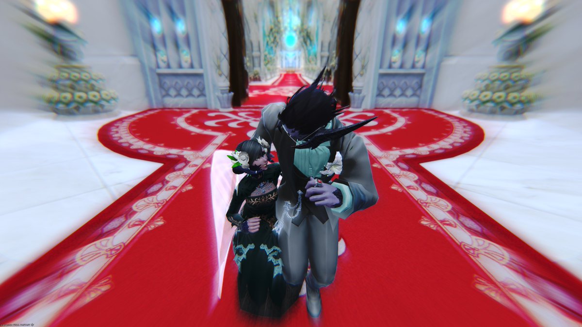 2/23(月祝)へ駆け込め