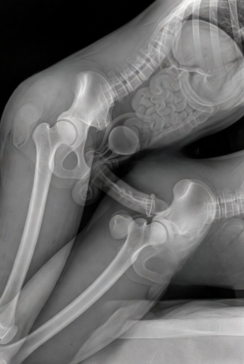 CUMFESSIONS (60K) tweet media