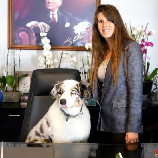 Lal Denizli köpeğini koltuğuna otuturup
Kendisi kafa çekmeyemi gitmiş 🤣🤣🤣