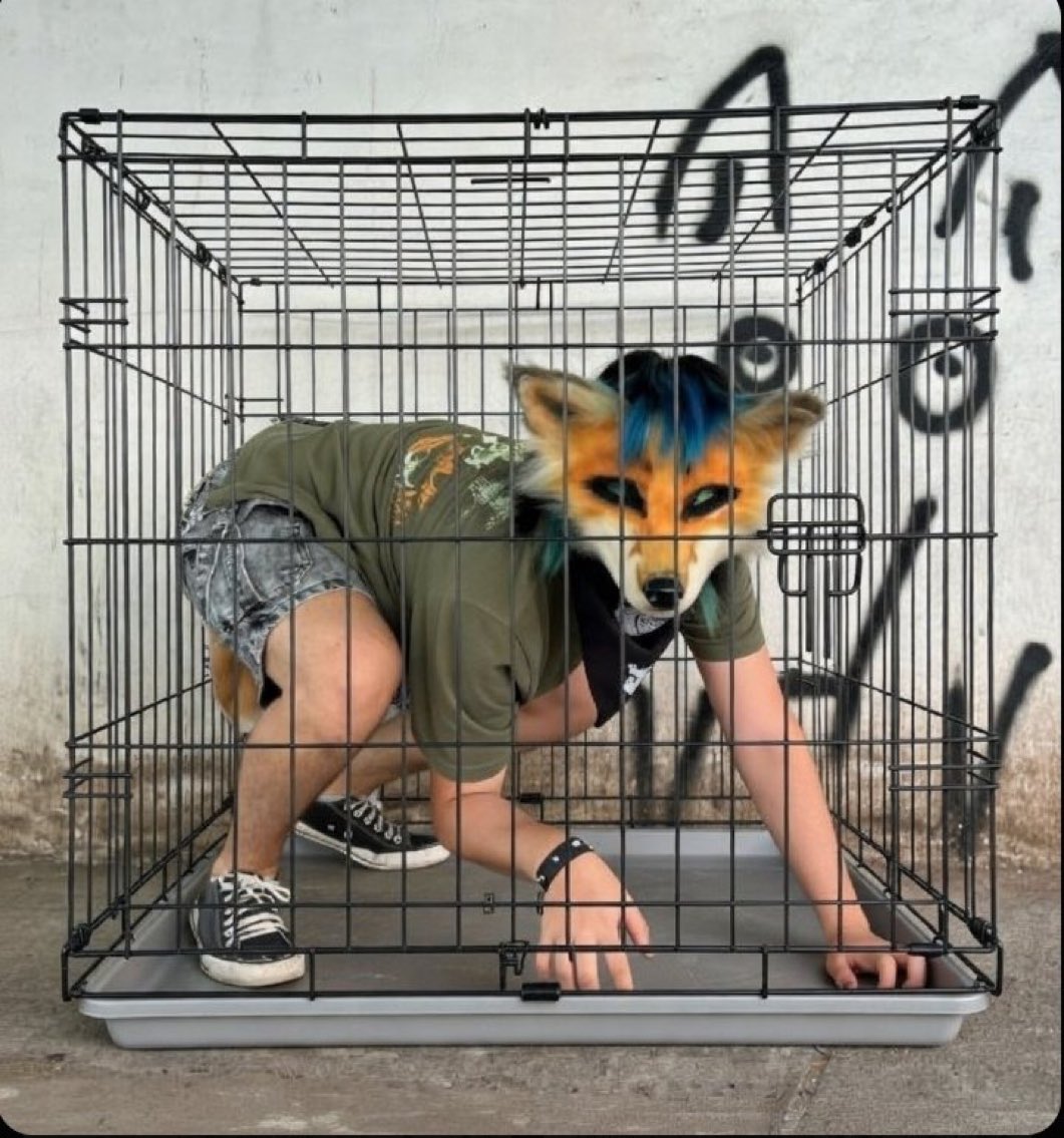 jeancarlopmag's tweet image. Este nuevo “fenómeno” de los therians no es más que otra forma de degradación humana y de estupidez colectiva provocada por el progresismo, que les vendió a las nuevas generaciones la idea de que podían actuar como animales y seguir teniendo derecho a votar para cambiar el rumbo