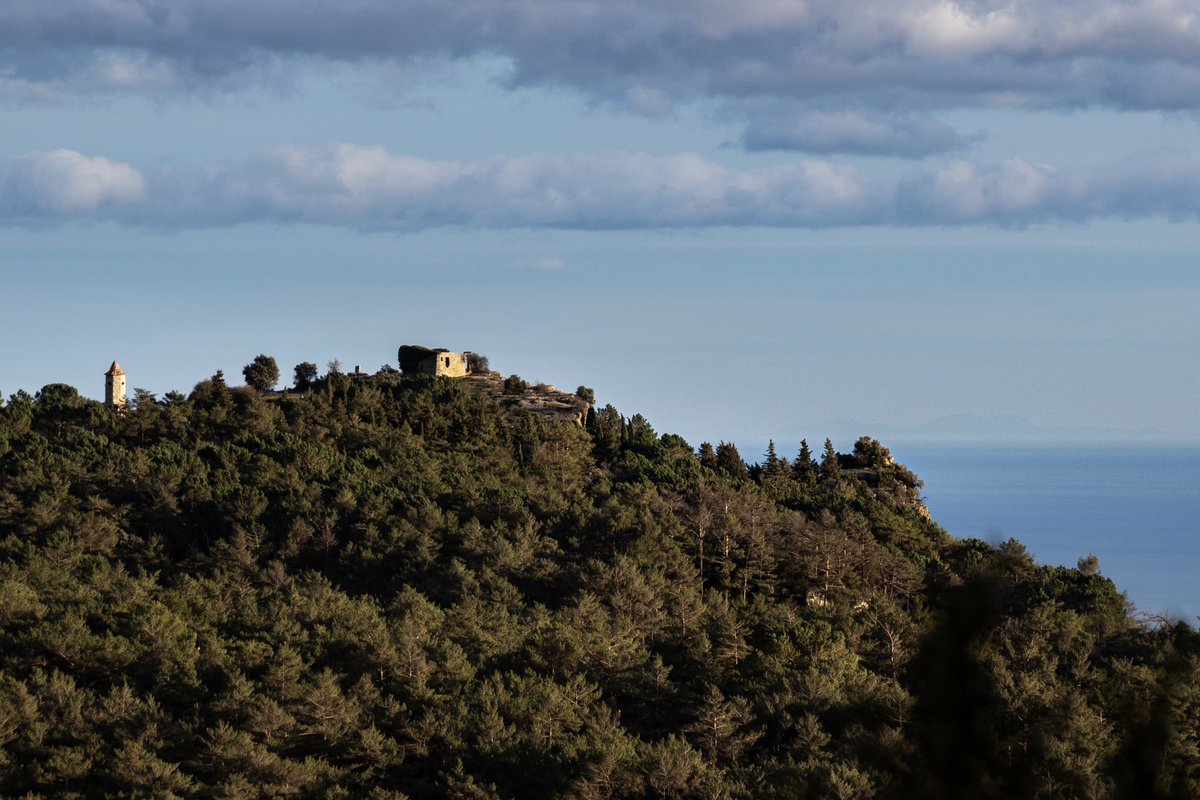 Daniel Yeste tweet media