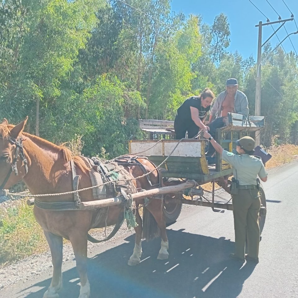 Carab_Maule's tweet photo. Para reforzar la utilización del número de emergencia 133, en el sector rural Cabreria en la Ruta L-125, @CarabMicc de la 5ª.Comisaría de #SANJAVIER concurrió lugar mencionado para alertar a los vecinos e instar a la prevención de los delitos de Robos y Hurtos. https://t.co/z9W1XuROaE