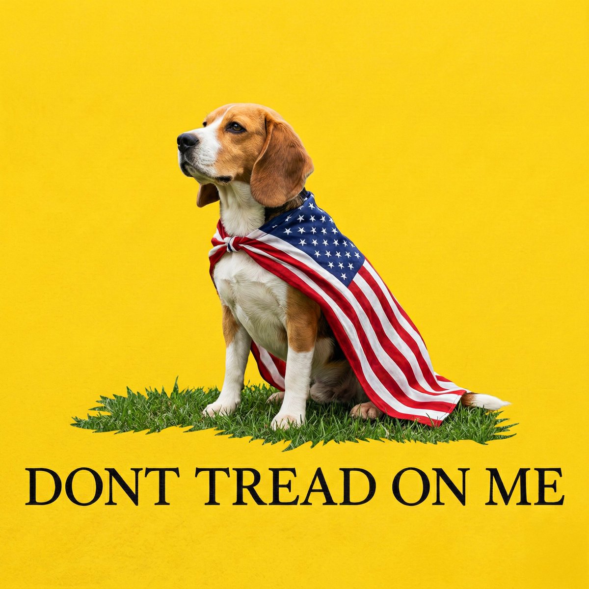 Wugi_wara's tweet image. You just can't TREAD on us $Dogs

bDz6NVehx5mr8E1e5d2c8ZAqjDe7DQWZeEKPpyvdogs