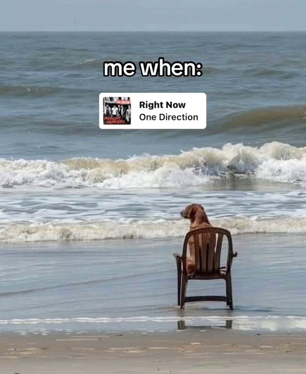 payno_foreever's tweet image. real