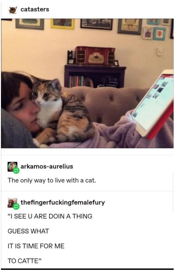 WholesomeMemes (@wholesomememe) on Twitter photo 