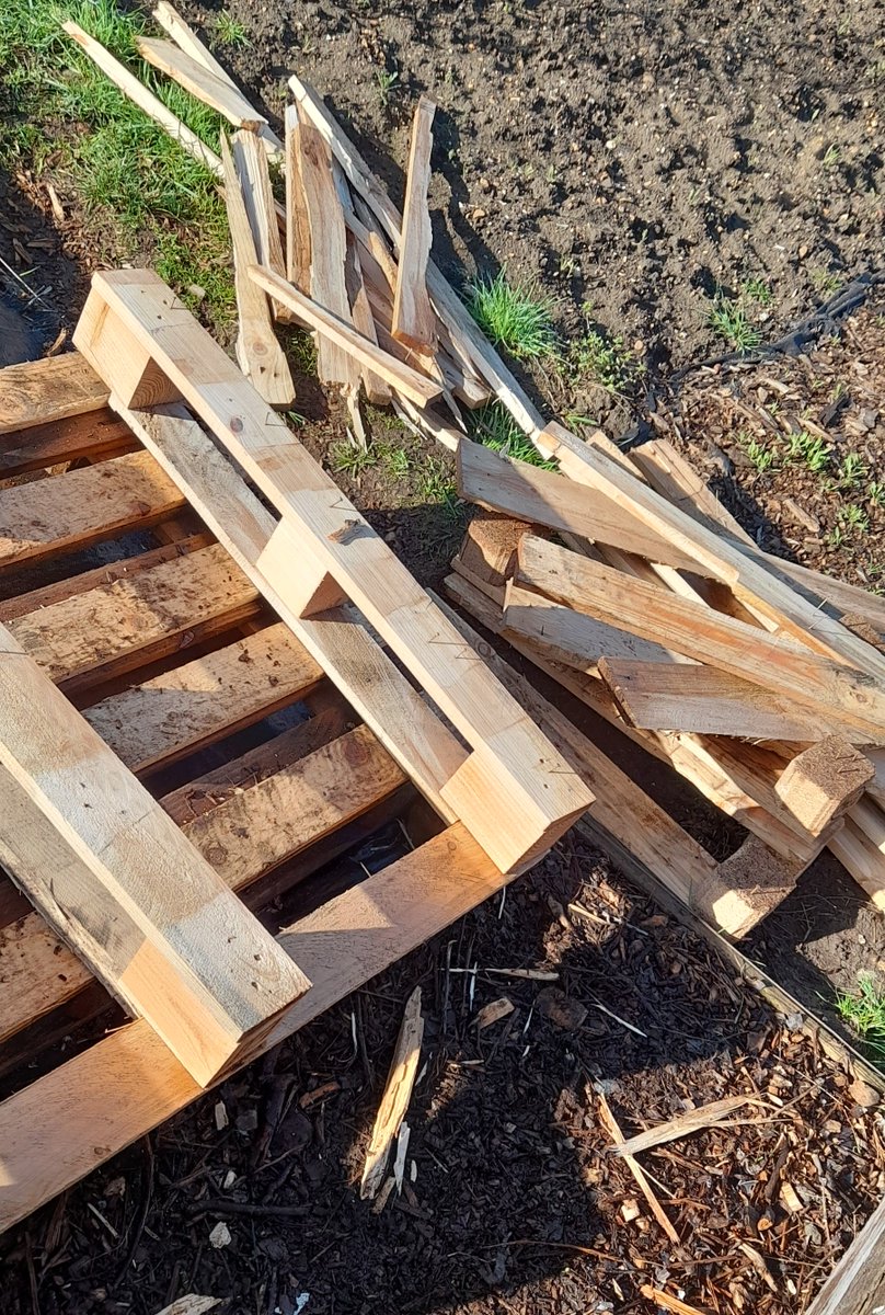 ᒪIᗩᗰ tweet media