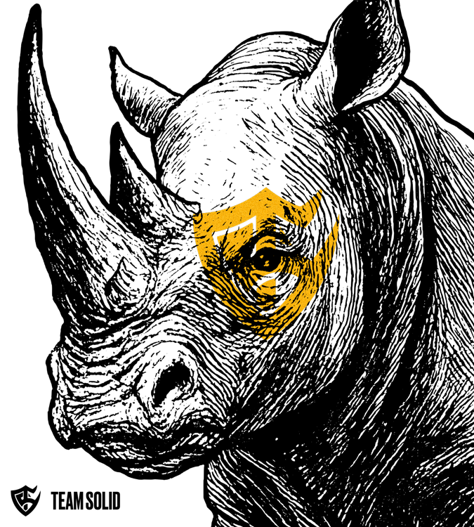 Team Solid tweet media