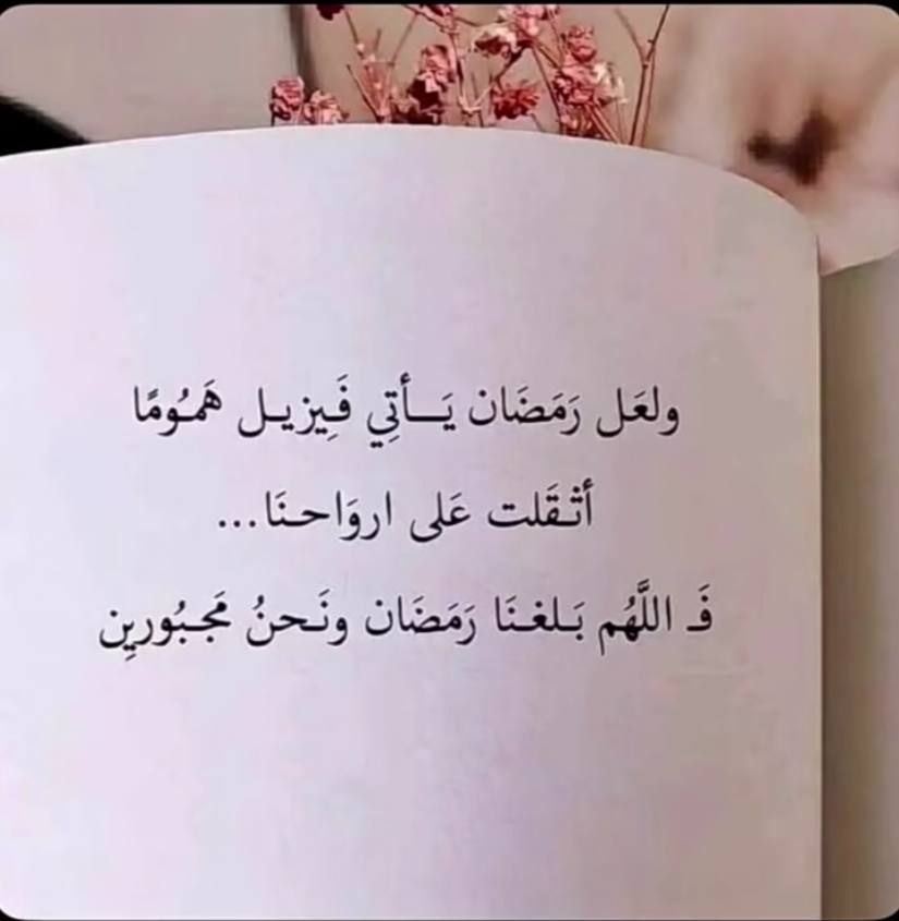 فوز (@fawzia_meshari) on Twitter photo 