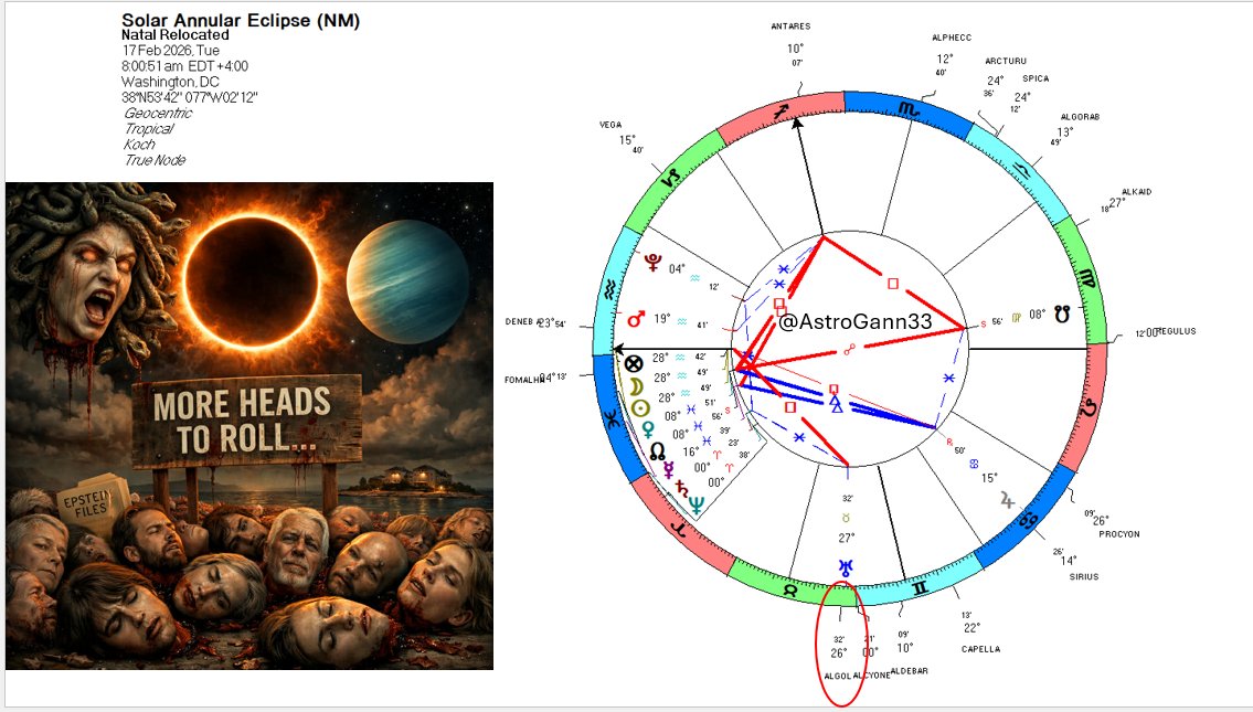 Olga Morales tweet media