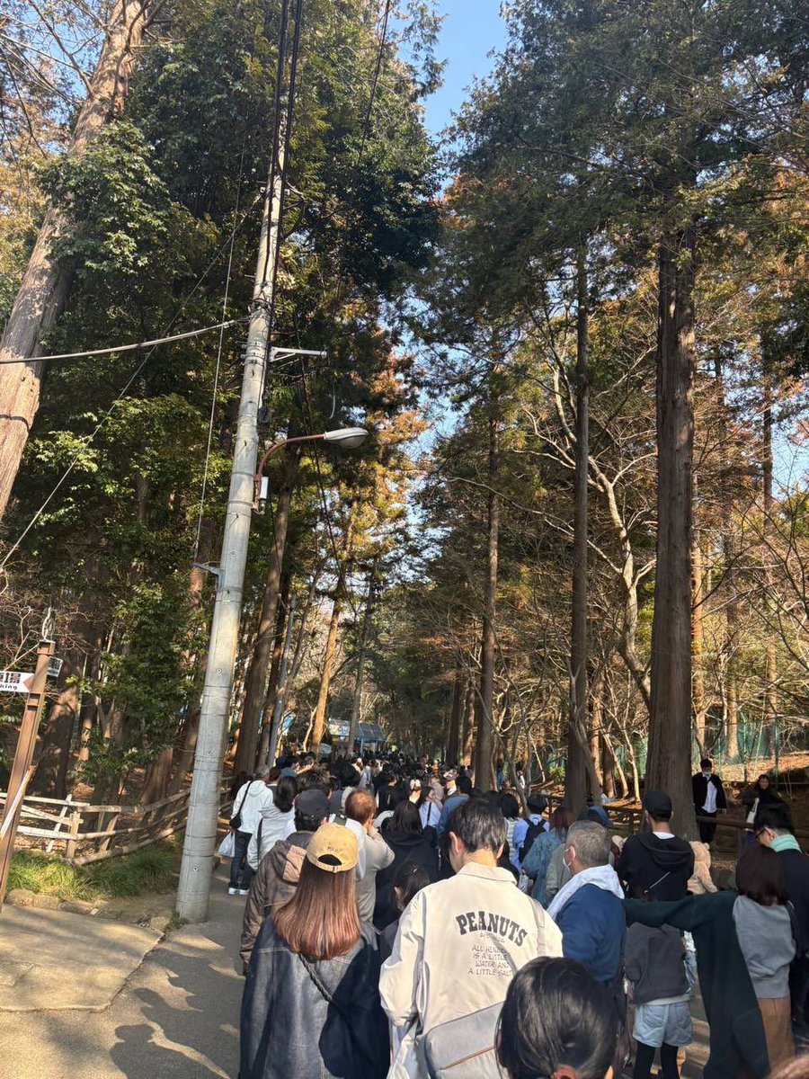 The zoo is currently experiencing unprecedented crowds, leaving both the staff and the animals in a state of confusion.  
I also heard from a friend who called that some of the staff are extremely busy dealing with media inquiries.

I’m planning to visit the zoo tomorrow, but I’m