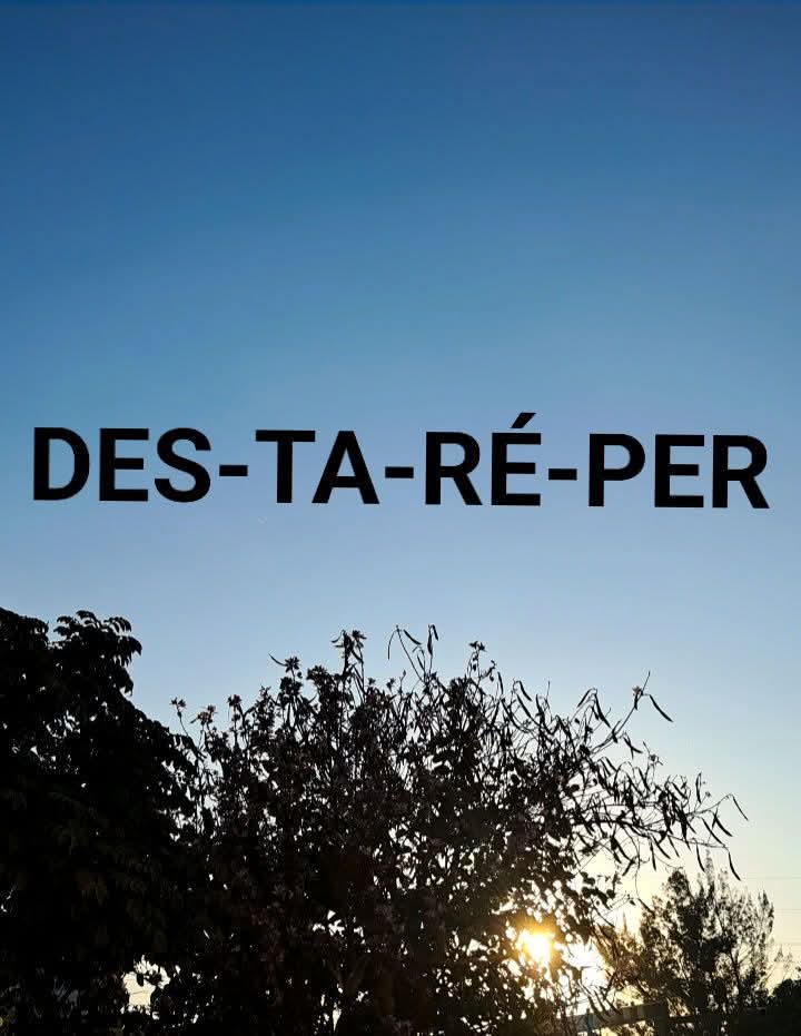 Suricato 💎 tweet media