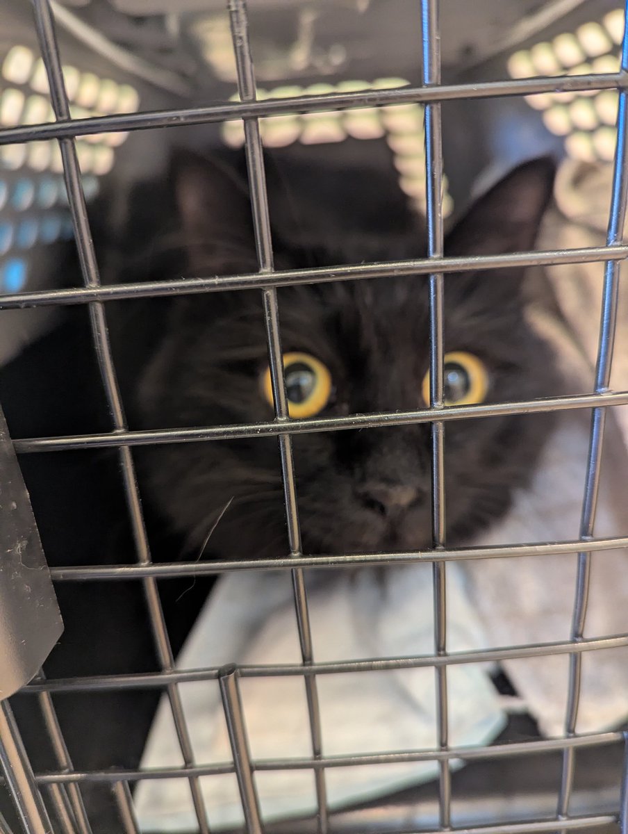 かずまる (@kazmaru_son) / Posts / X