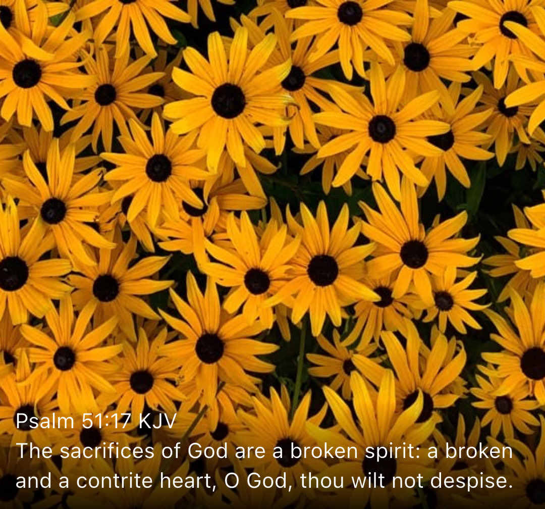 New Testament Christian Church Of Brooklyn, NY tweet media