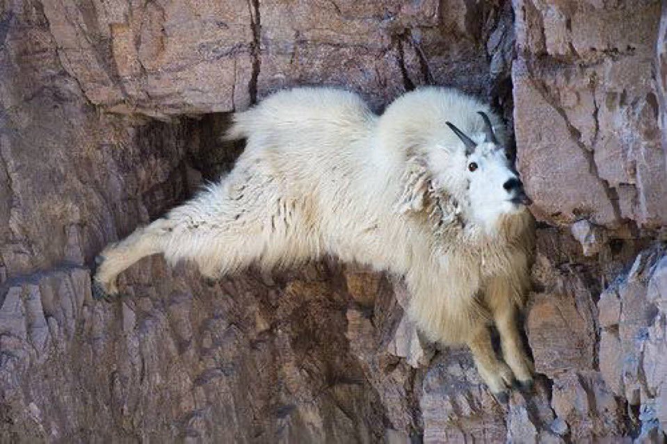 自分の人生これすぎる