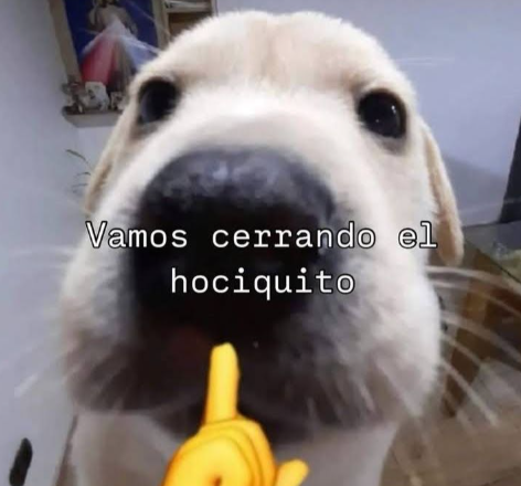 Elden Ring 😇
twitch.tv/zaidcos_