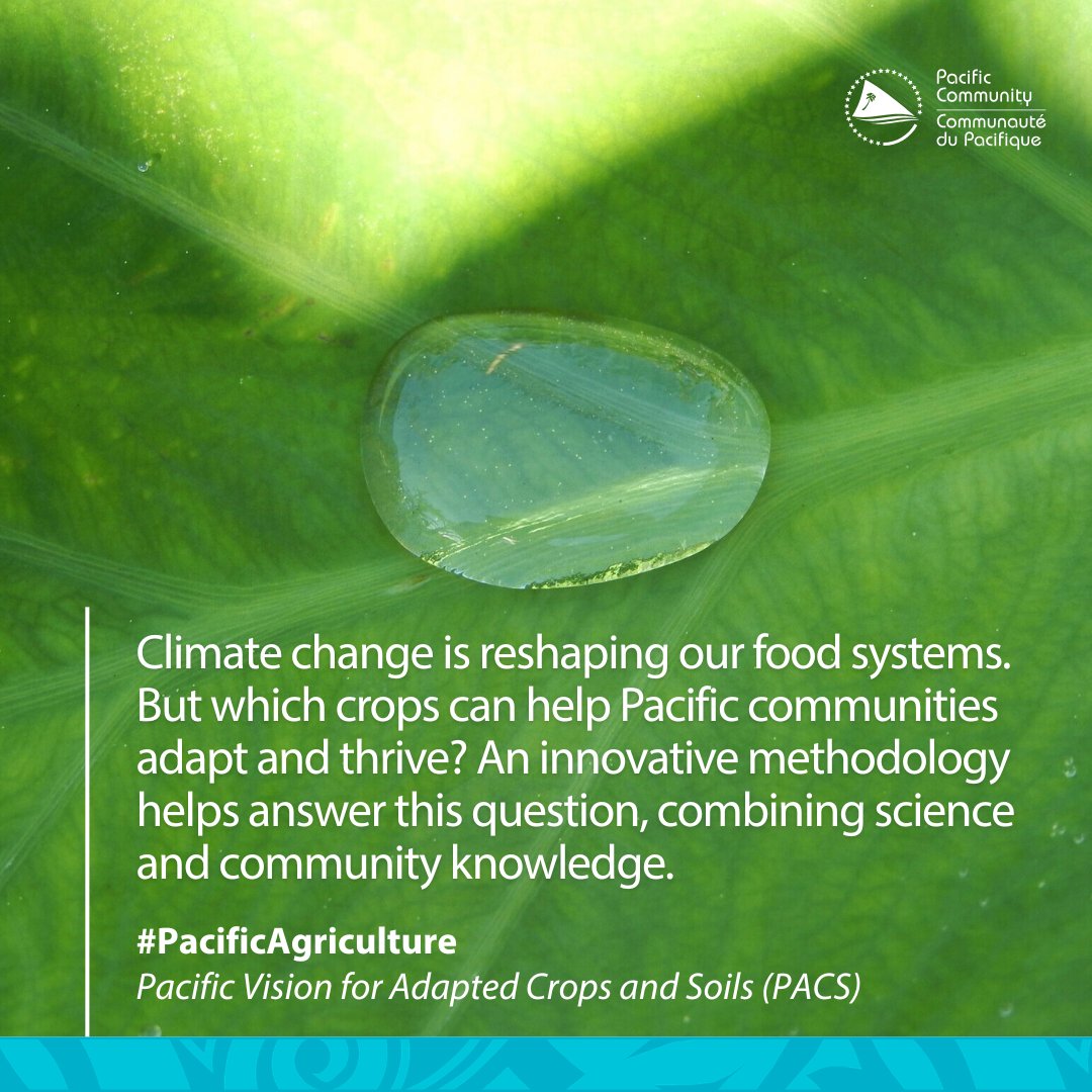 Pacific Community tweet media