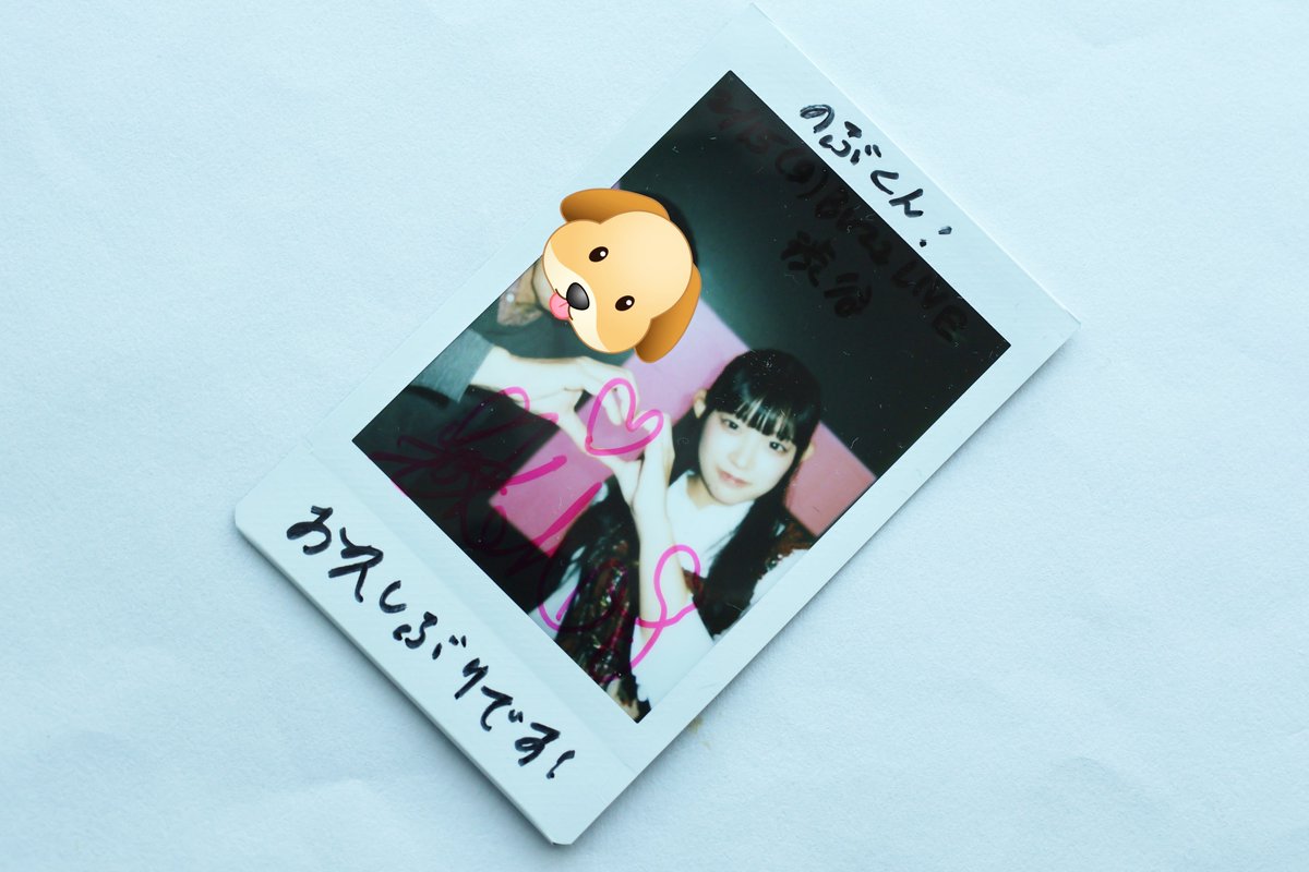 2026.02.15 BUZZ LIVE SHIBUYA 【 Hi Fes !!!!!! 】 🤍おきかほちゃん