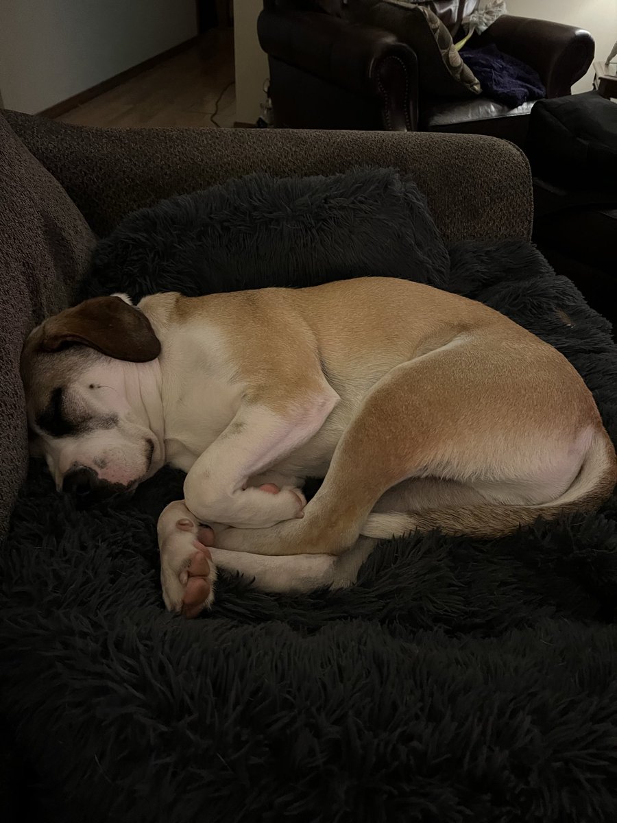 WorldExotic21's tweet image. Bentley 

Don’t even try it Islam you fvcks!

#zelena