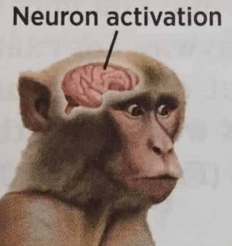 my neurons were activated, ive known this for a while nmn, just never got around to tweeting it out