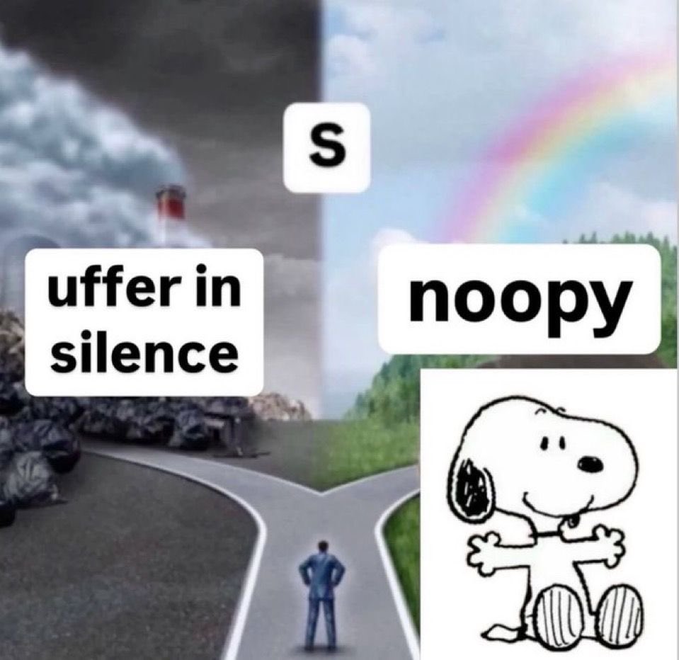 snoopy lover tweet media