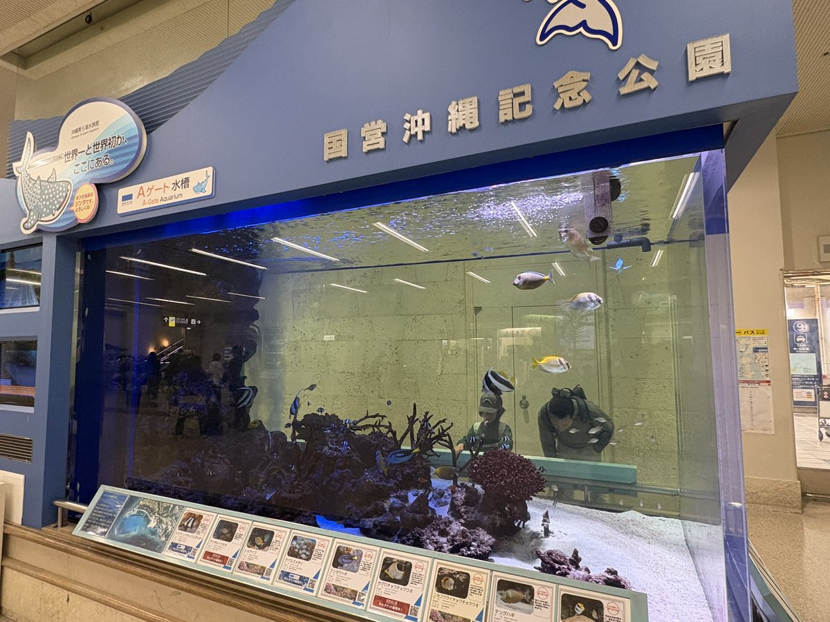 沖縄到着！