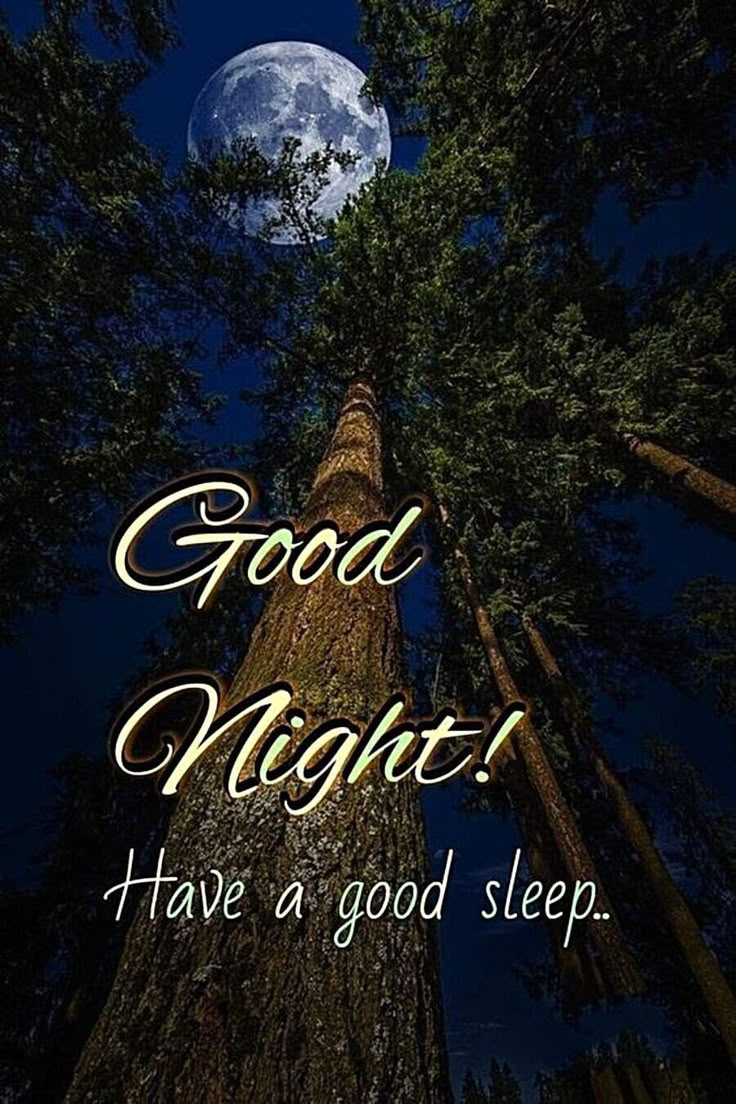 G N my friends <a href="/jonathansfrakes/">Jonathan Frakes</a> <a href="/LisaCollins9/">LisaCollins9</a> <a href="/LaurieMit/">Laurie M.</a> <a href="/Mindlessrobot37/">Judy</a> <a href="/MirrorCrow/">JEM</a> <a href="/donnacox1021/">Donna Cox</a> <a href="/imcorinnemec/">Corin Nemec</a> <a href="/LouDPhillips/">Lou Diamond Phillips</a> <a href="/YMPhillips/">Yvonne Phillips</a> <a href="/SueFreitas6/">Sue Freitas</a> <a href="/RhondaHendee/">Gizmo & Rhonda #ZSHQ</a> <a href="/OmarGoshTV/">OmarGoshTV</a> <a href="/IrisRanieri/">Iris</a> <a href="/maryhare0/">Mary Hare</a> @MoeSargi <a href="/CatWome96887351/">Cat Woman</a> <a href="/RoderickRat/">TTAFan83</a> <a href="/NBVitriolic/">A Vitriolic Parent</a>