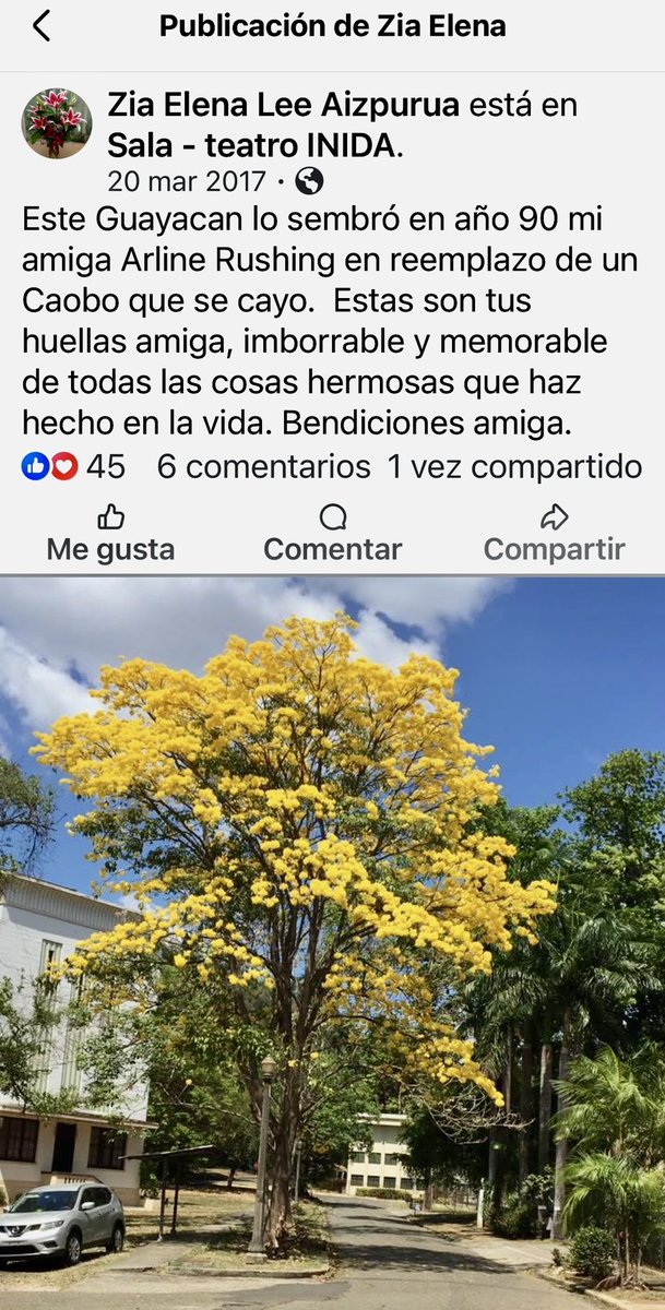 🇵🇦Arline G Rushing - Traductor esp-ingles 🇵🇦 tweet media