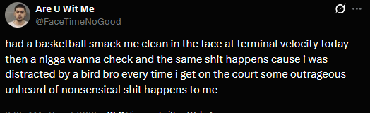 he got distracted by a bird ive been wanting to talk about this i might be mandela effect bro but this nigga said to me "it was a colorful ass bird" what is a colorful bird bro like actually shit frying me